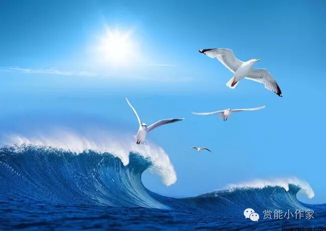 从图库选择图片