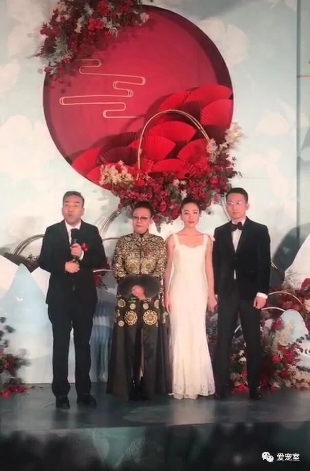 相声大师杨少华孙女大婚,杨议感慨万分,冯巩郭德纲纷纷送祝福