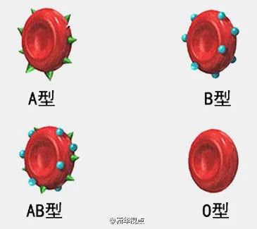 浙江大学唐睿康教授团队研制出 万能血 制造方法