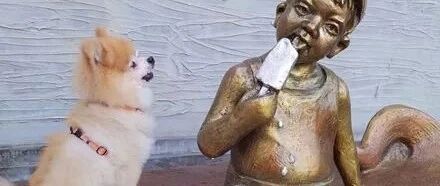 狗狗嘴馋别人手里的冰淇淋，网友一看那个人，却瞬间笑喷了！网友：这是有多馋才这样！！