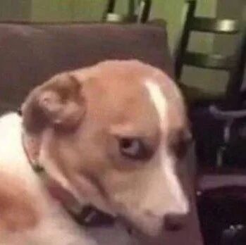 小区公告牌上挂着一个布偶，网友好奇上前一看，结果被上面的字笑喷了！