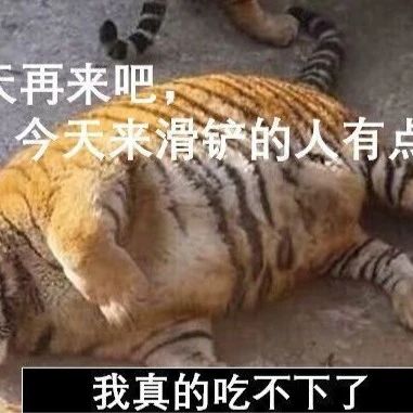 明天再来吧!今儿滑铲的人有点多,虎肚装不下........