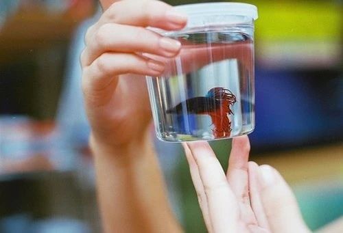 佛山市辰美艺术中等职业学校2024招生简章