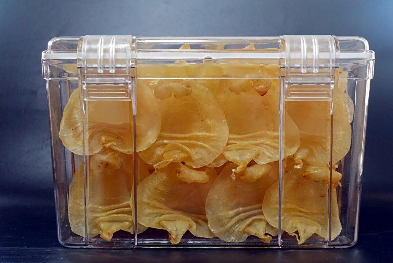 一碗鱼胶，完胜10瓶化妆品，看完你就懂了！