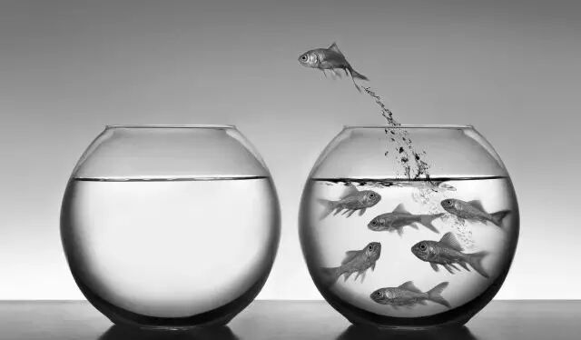 Uncategorized Laupasatblog