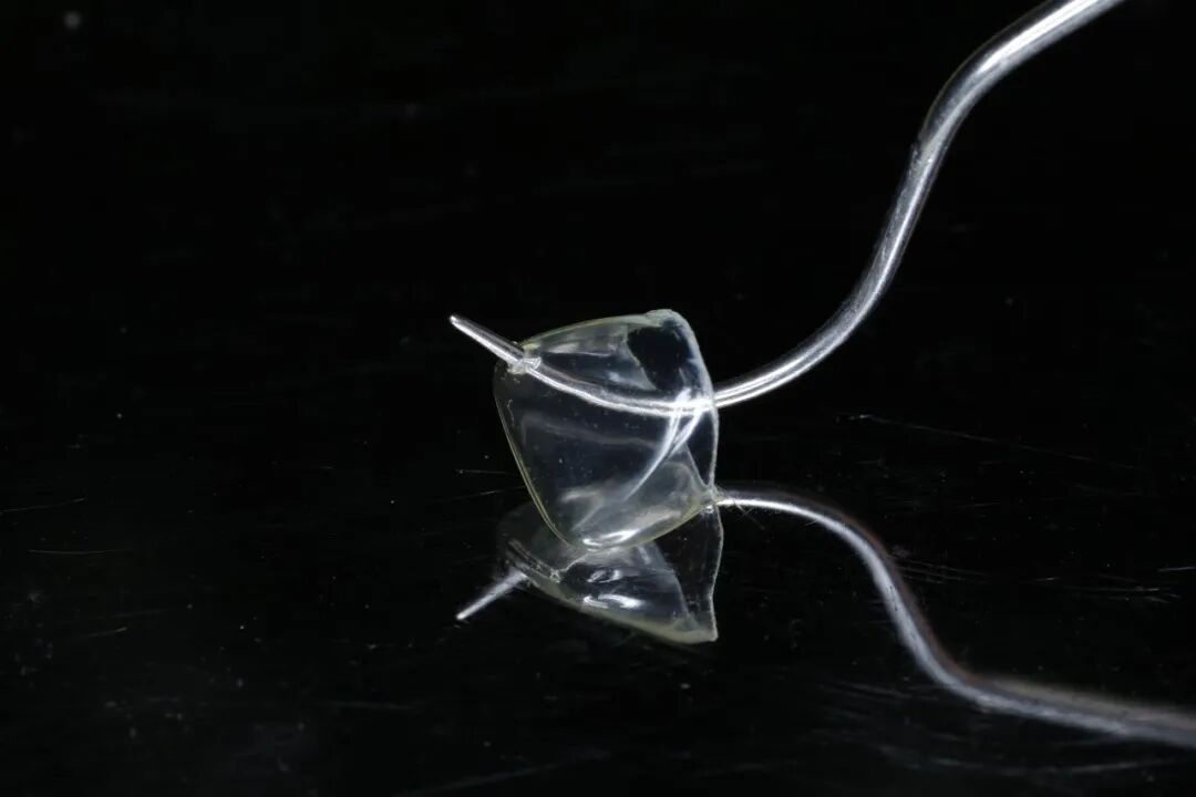 乳前牙透明冠的操作过程及技术要点