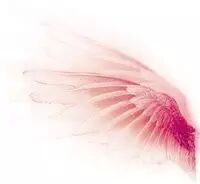 微信公众平台编辑器3.7祝您快乐哦节日正文模板素材样式下载