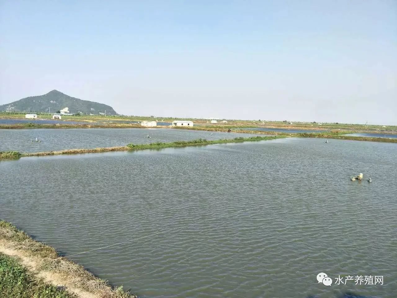 二氧化氯在水产养殖中的使用方法