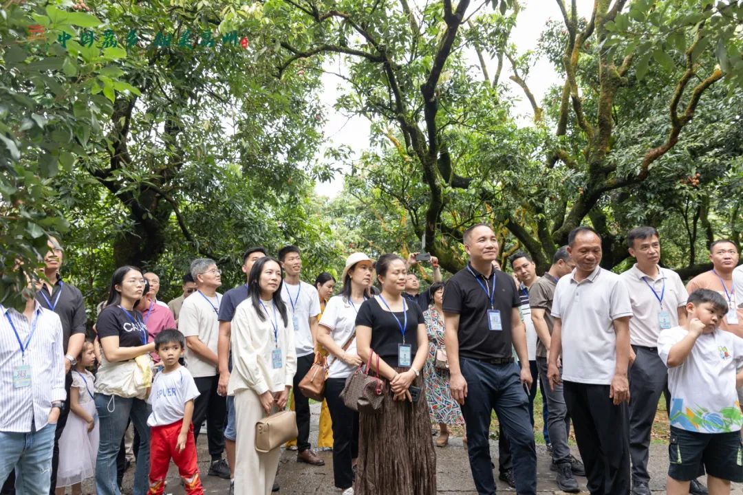 阳江市旅游协会旅行社分会参加“中国荔乡  甜美高州”高州市文旅招商推介会邀请采风踩点活动