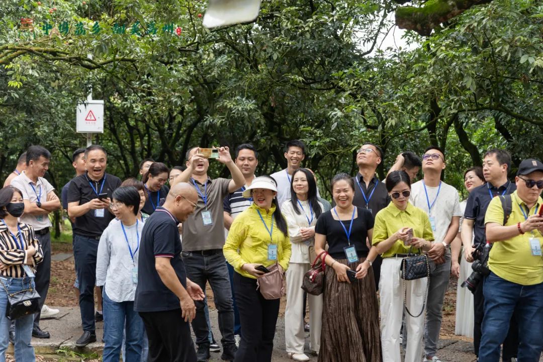 阳江市旅游协会旅行社分会参加“中国荔乡  甜美高州”高州市文旅招商推介会邀请采风踩点活动