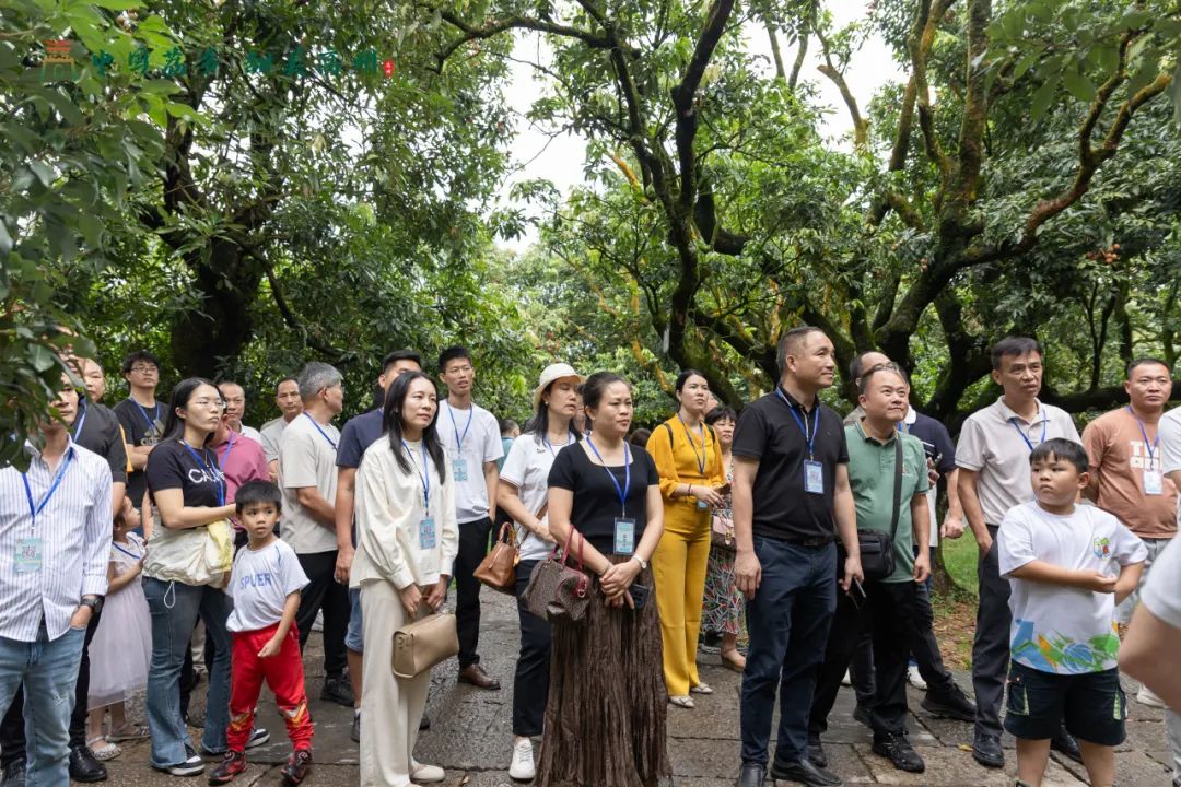 阳江市旅游协会旅行社分会参加“中国荔乡  甜美高州”高州市文旅招商推介会邀请采风踩点活动