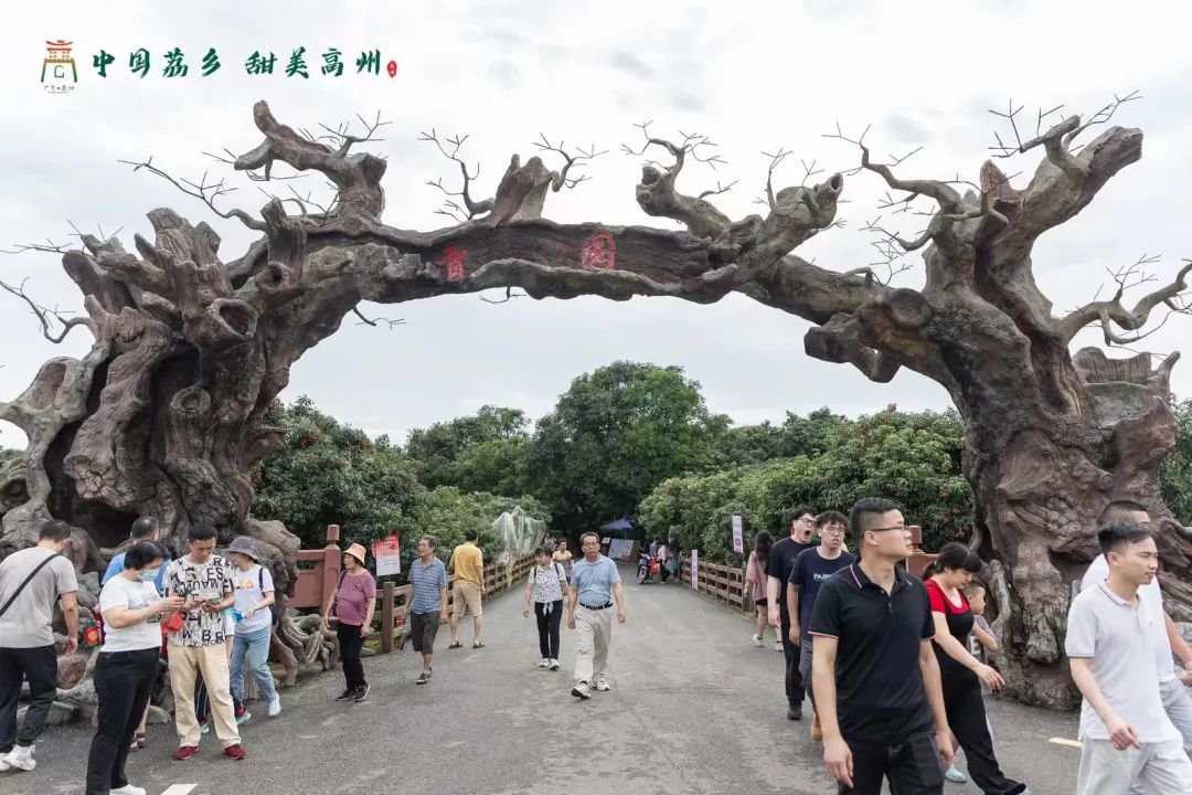 阳江市旅游协会旅行社分会参加“中国荔乡  甜美高州”高州市文旅招商推介会邀请采风踩点活动