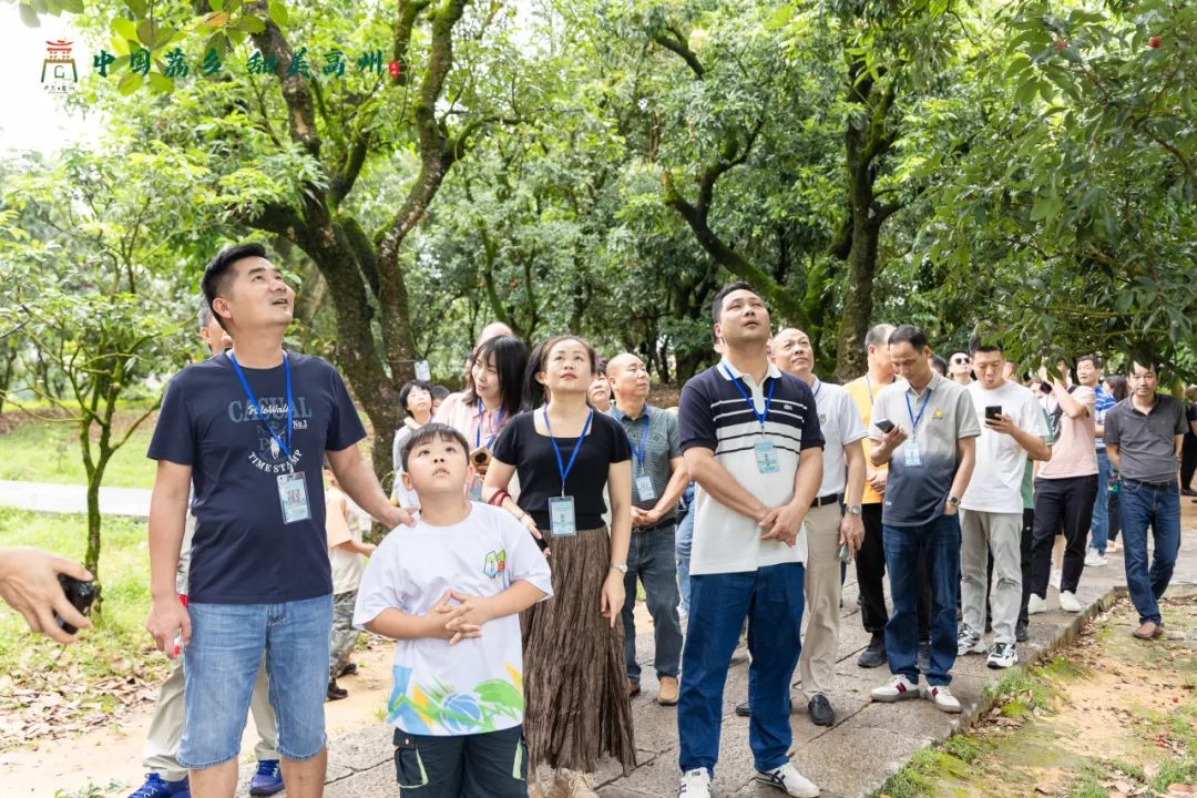 阳江市旅游协会旅行社分会参加“中国荔乡  甜美高州”高州市文旅招商推介会邀请采风踩点活动