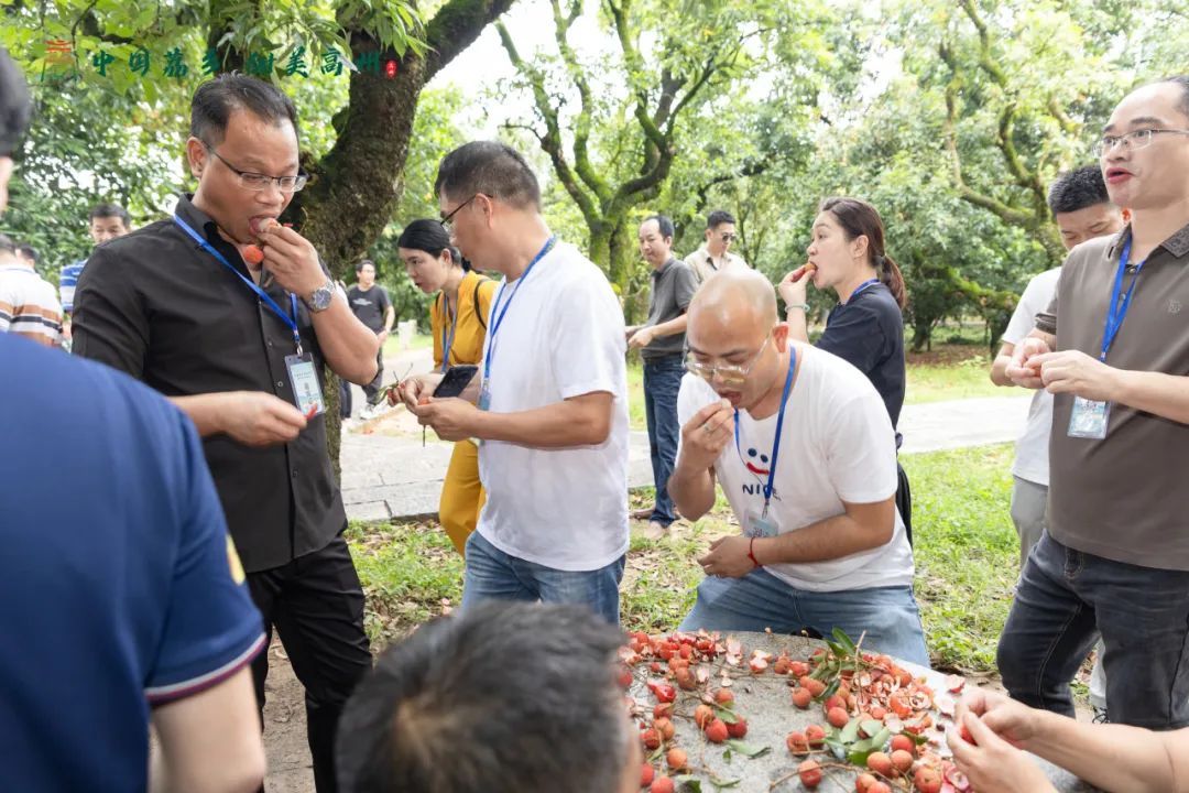 阳江市旅游协会旅行社分会参加“中国荔乡  甜美高州”高州市文旅招商推介会邀请采风踩点活动