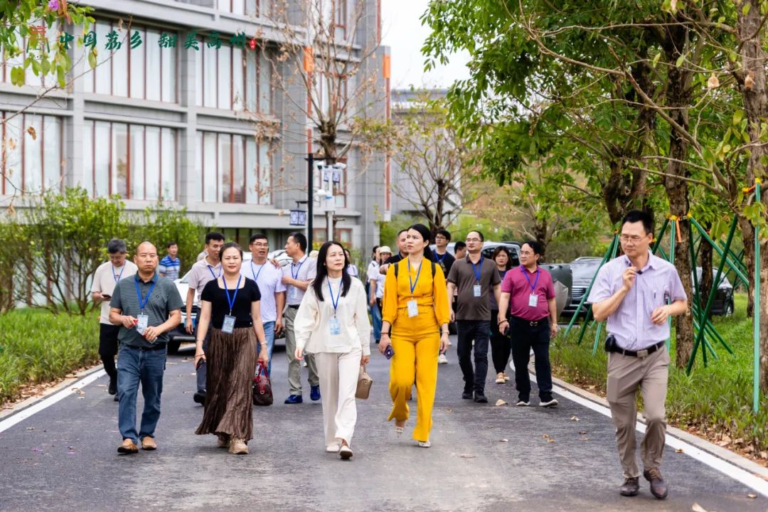 阳江市旅游协会旅行社分会参加“中国荔乡  甜美高州”高州市文旅招商推介会邀请采风踩点活动