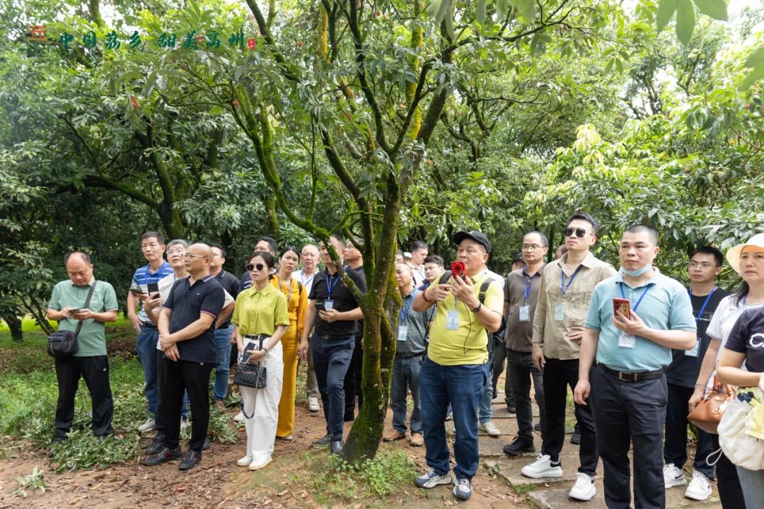 阳江市旅游协会旅行社分会参加“中国荔乡  甜美高州”高州市文旅招商推介会邀请采风踩点活动