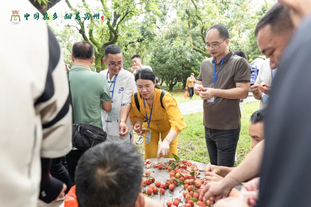 阳江市旅游协会旅行社分会参加“中国荔乡  甜美高州”高州市文旅招商推介会邀请采风踩点活动