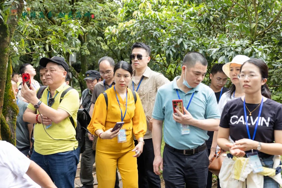 阳江市旅游协会旅行社分会参加“中国荔乡  甜美高州”高州市文旅招商推介会邀请采风踩点活动