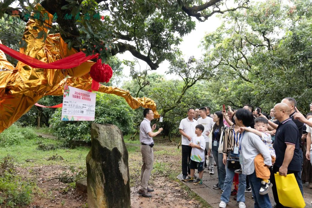 阳江市旅游协会旅行社分会参加“中国荔乡  甜美高州”高州市文旅招商推介会邀请采风踩点活动