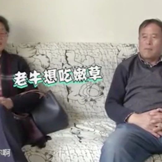 反向催婚，老刺激了.....