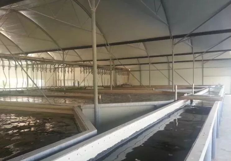 2018年,水产养殖用地,应该这样拿!