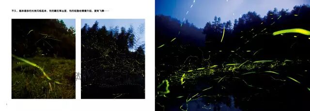 24本中国童书榜获奖好书+中国好童书100佳，孩子的寒假书单不用愁了！