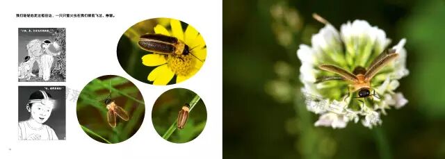 24本中国童书榜获奖好书+中国好童书100佳，孩子的寒假书单不用愁了！