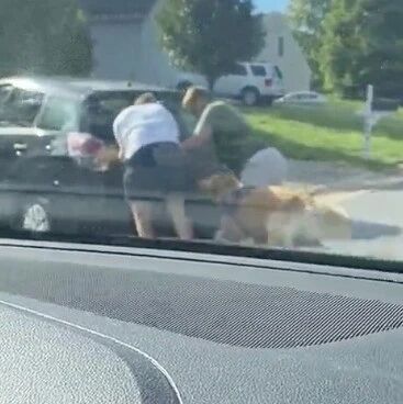 车子故障主人下来推车，结果金毛看到后，一番操作让他们笑翻！