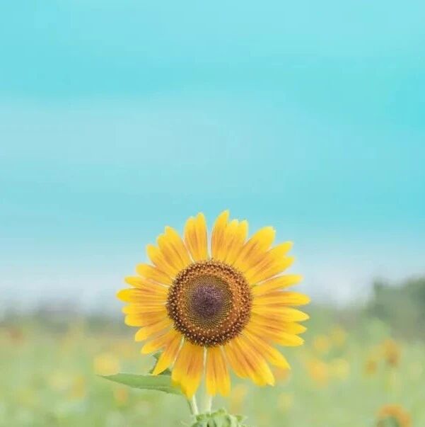 半生已过，学会沉默！