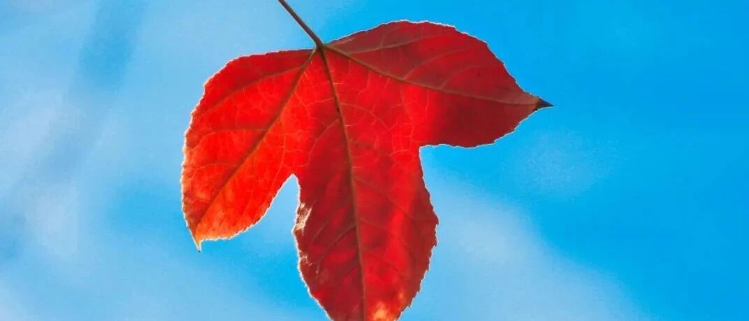 人，一辈子，四个字