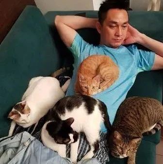 老公躺下来身边围4色猫，爱猫通通走到他身边窝成球！