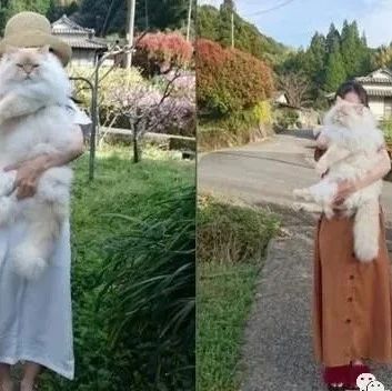 她在网上PO出与爱猫合照爆红，网友：这真的是猫吗？