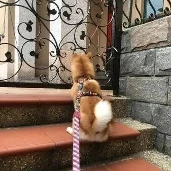 这6个表现 可能是白血病的 预告 别习以为常 养生堂 日常养生保健大全 养生小知识 微信头条新闻公众号文章收集网