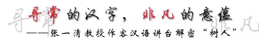 寻常的汉字，非凡的意蕴 ——张一清教授作客汉语讲台解密“树人”-语文-南京师范大学附属中学树人学校