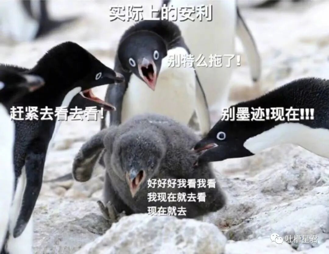 【爆笑】“这是P图还是换头啊？！”网红健身原图流出，哈哈哈哈这素颜太野了...（组图） - 10