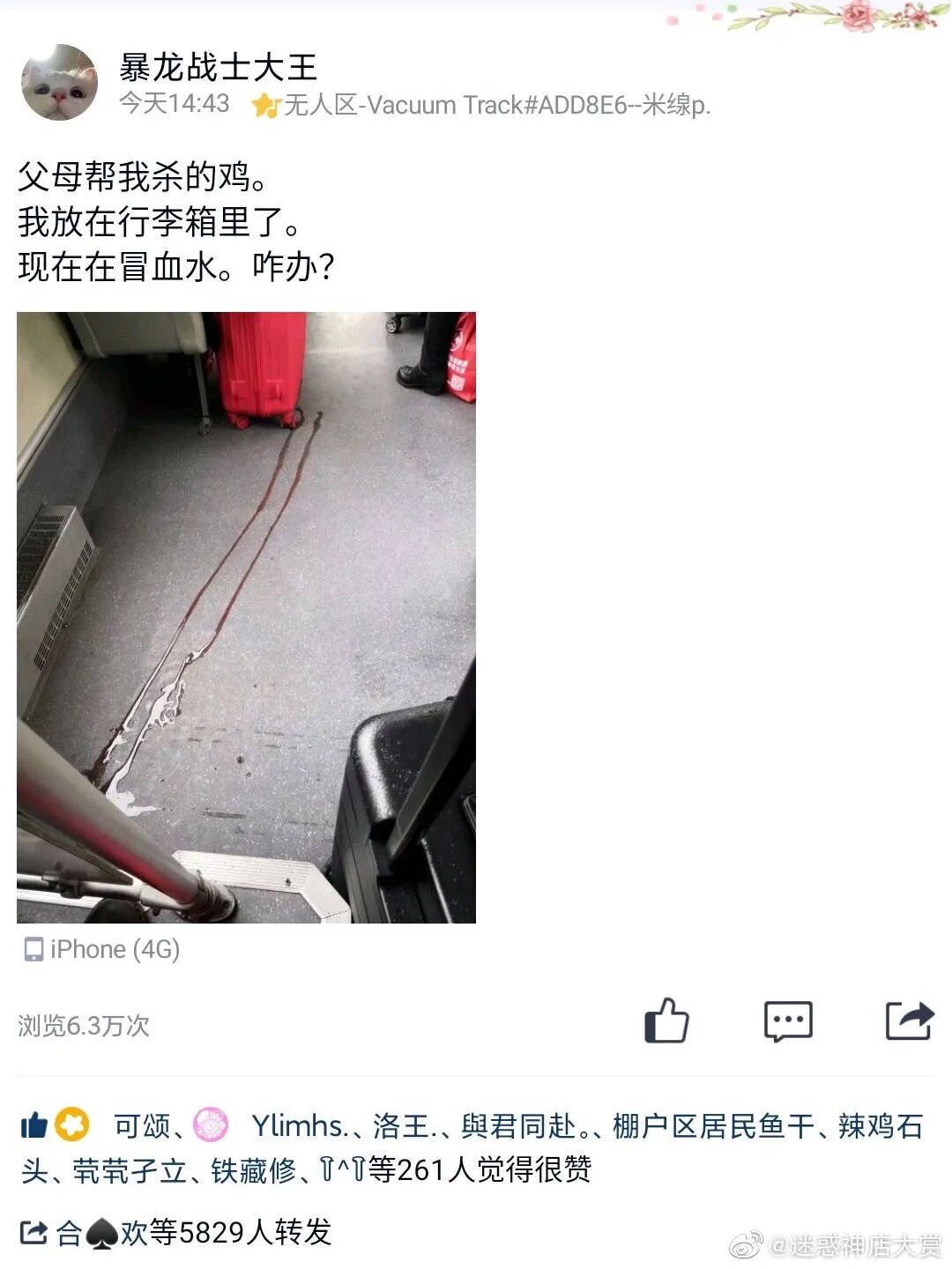 【爆笑】“这是P图还是换头啊？！”网红健身原图流出，哈哈哈哈这素颜太野了...（组图） - 52