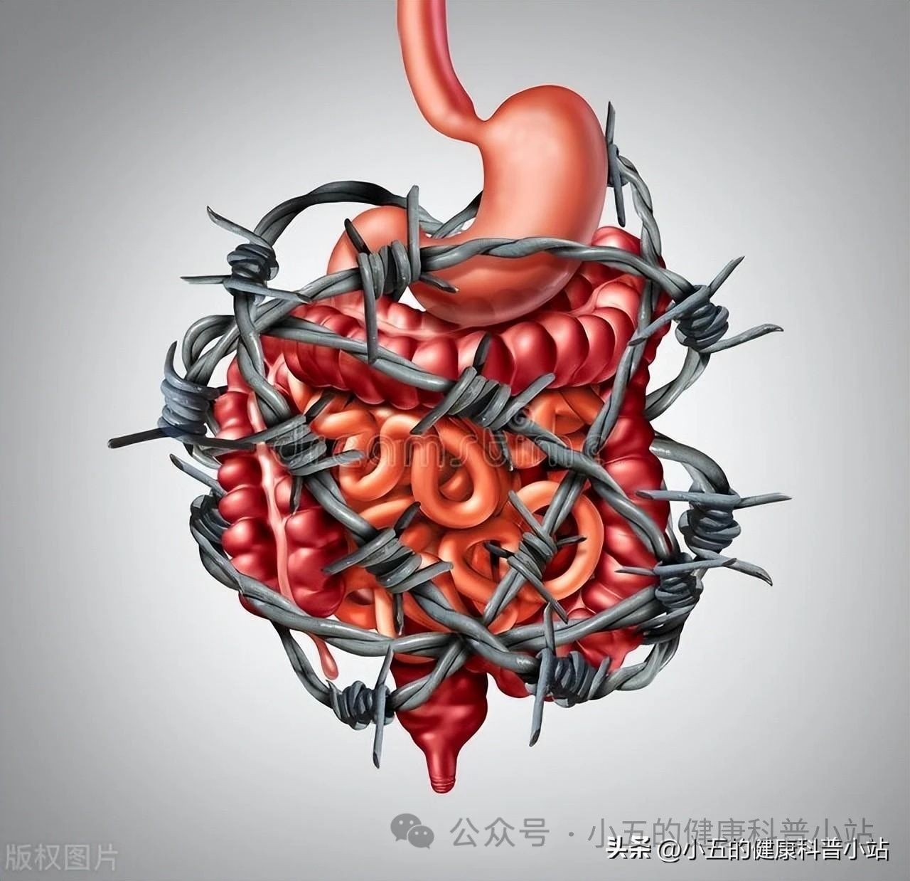 马来酸曲美布汀片可以吃多久
