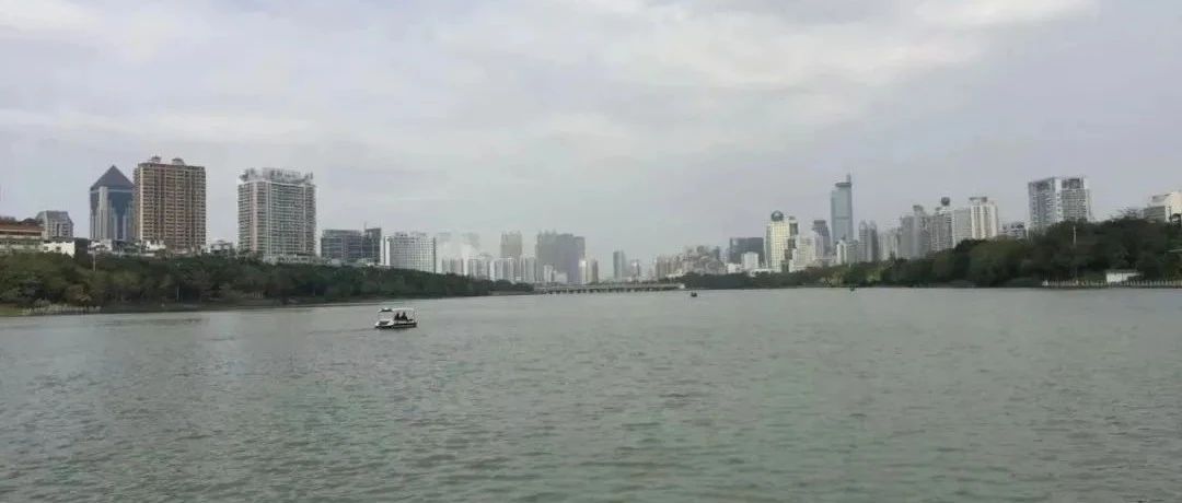 cover_image