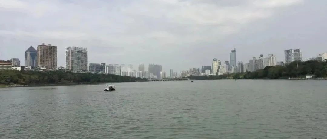 cover_image