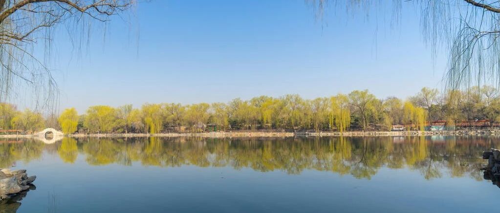 SAP 批量校验采购发票 - 封面图