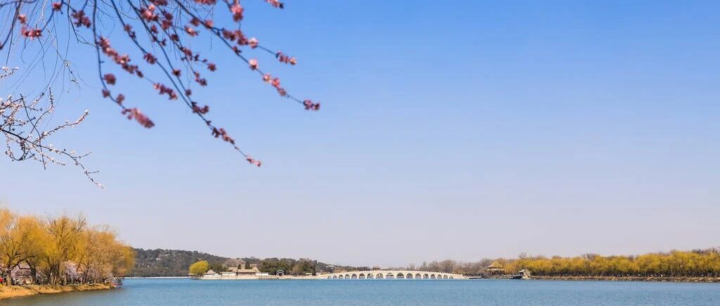 SAP 消息号 CKCC118成本核算不从此成本核算运行开始 - 封面图