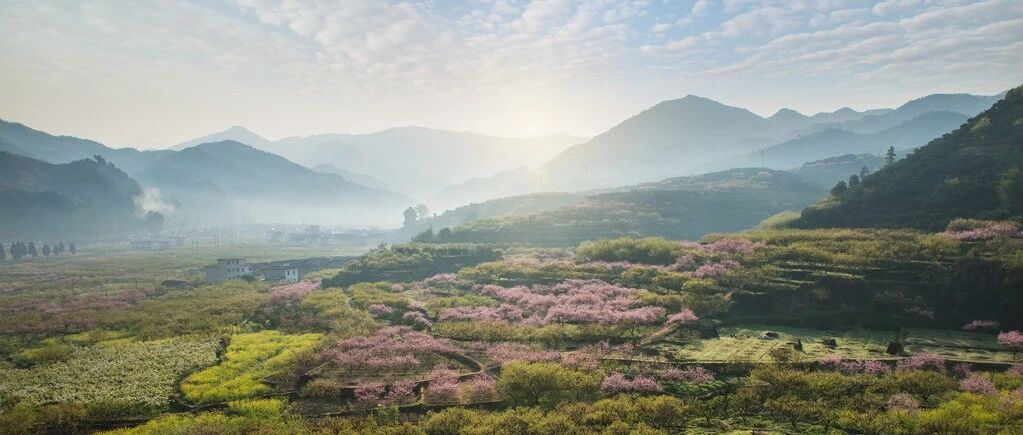 SAP 部分支付 - 封面图