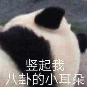 酷姐姐和帅弟弟，谁能不爱？