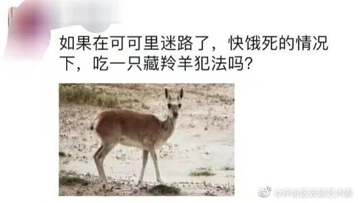 爸爸请的美女私教老师,这是给爸爸报的兴趣班?-微信头条网 爸爸请的美女私教老师,这是给爸爸报的兴趣班?