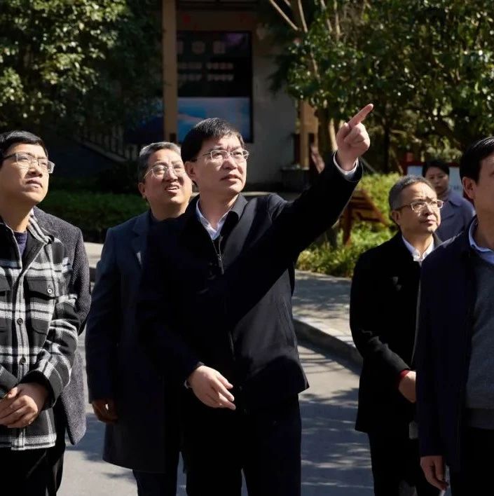 陈龙在金华山调研时强调：提升管理水平 加快开发步伐 全力争创国家5A级旅游景区