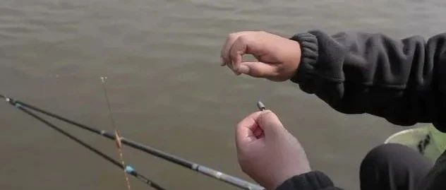 立冬過后釣魚，學會這4個技巧，不愁釣不到魚！