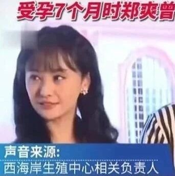 代孕事件迎来转折，郑爽寻求法律援助，想要“养”两个孩子！