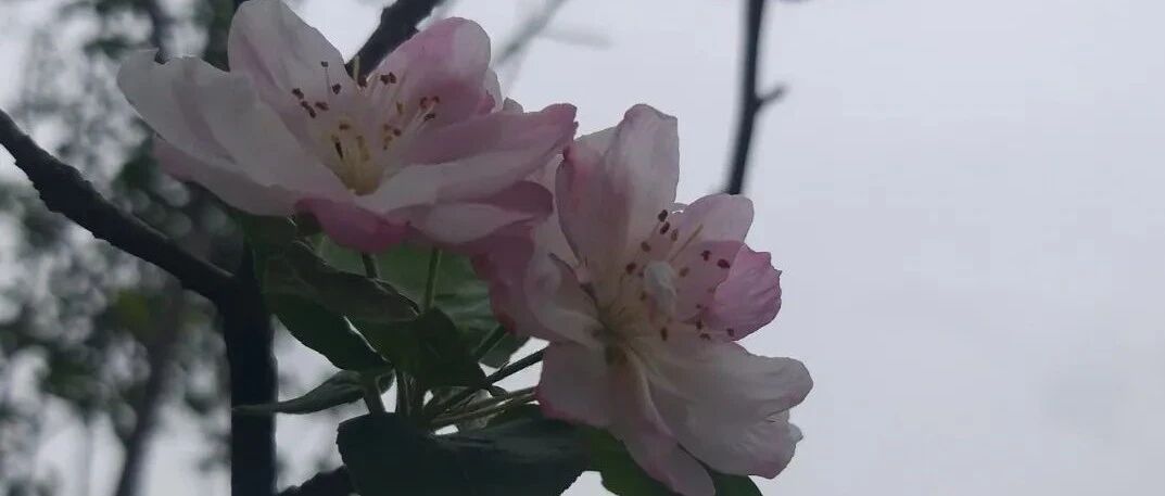 【青春语文 · 欧阳艳专栏】打造培养初中生写作能力的立体循环系统