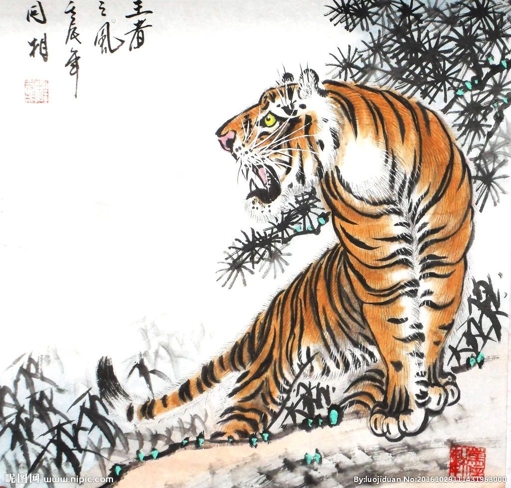 老虎怎么画