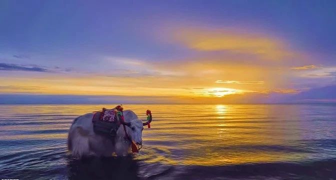 青海图片 青海图片